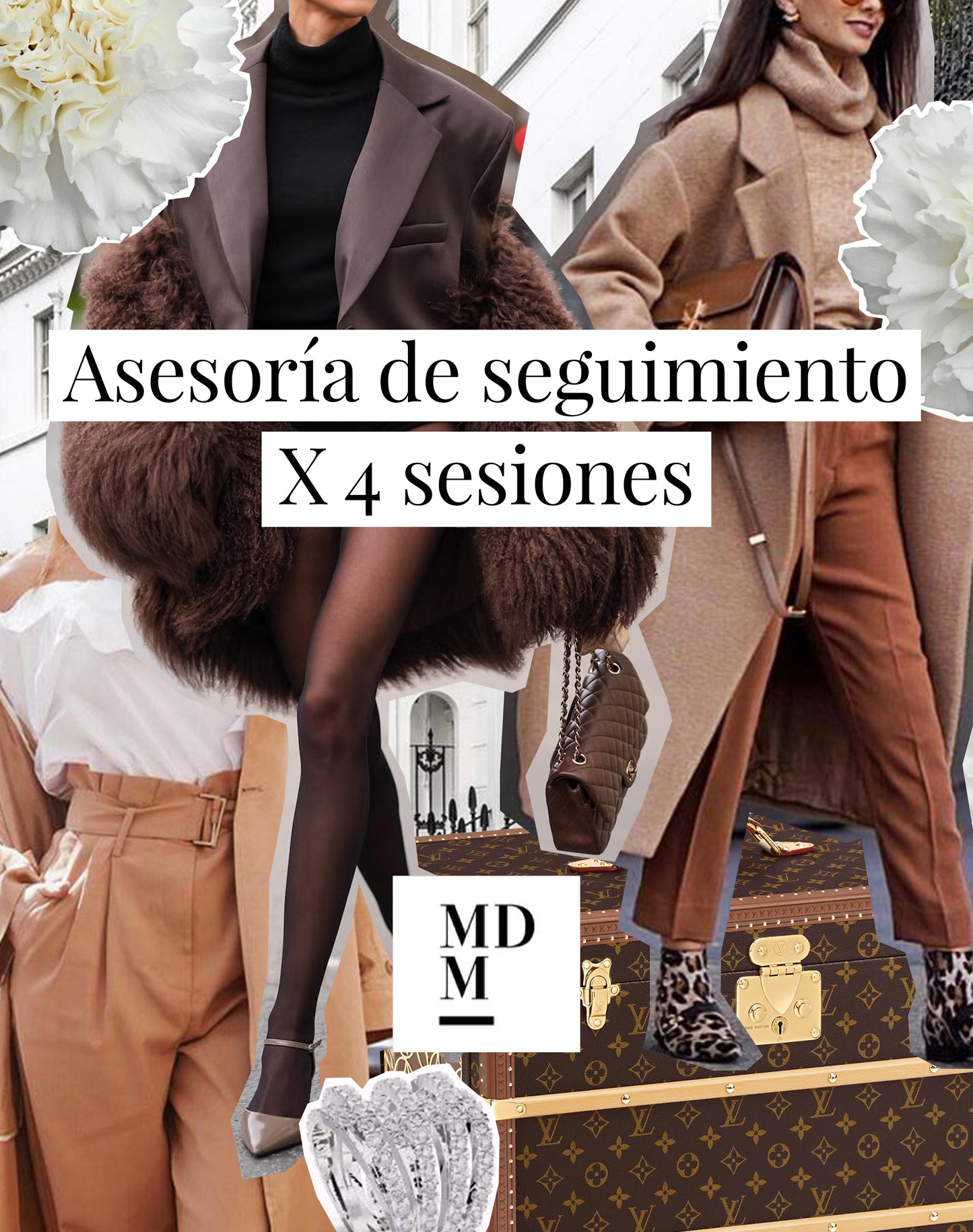Asesoría X 4 sesiones