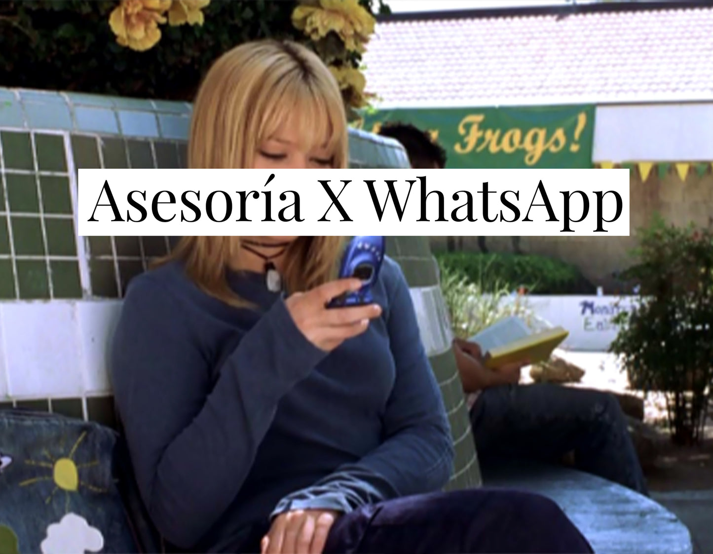 Asesoría X WhatsApp
